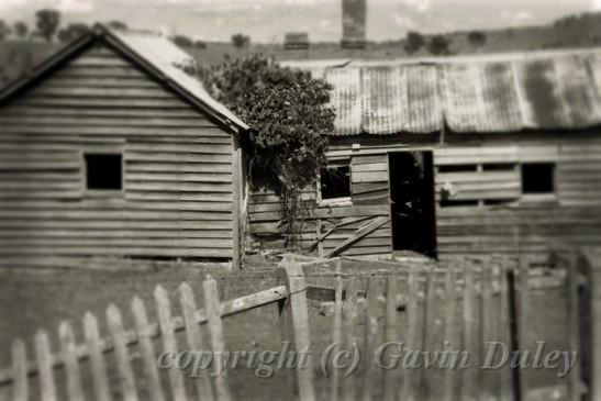 Abandoned cottage near Yarrowyck, New England 'Wetplate' version.jpg